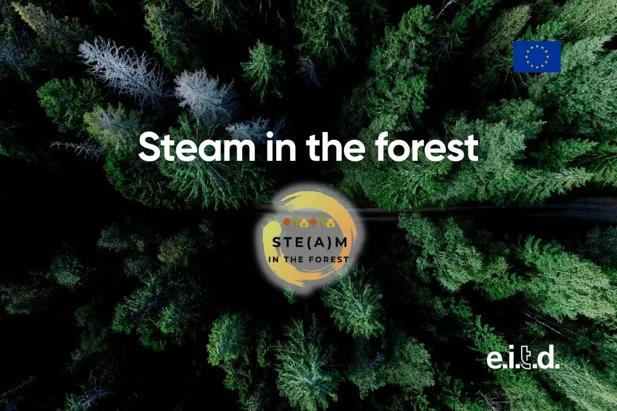 Foto di alberi dall'alto per progetto europeo steam in the forest